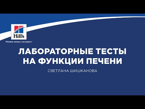 Видео: Вебинар на тему: “Лабораторные тесты на функции печени”. Лектор - Светлана Шишканова.