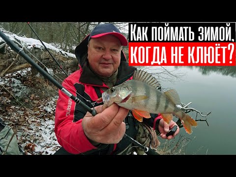 Видео: Микроджиг зимой: как поймать на спиннинг в мороз, когда совсем не клюёт?