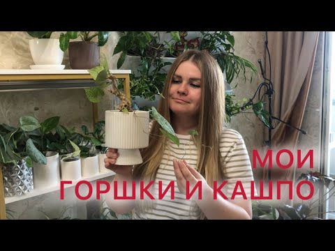 Видео: МОИ ГОРШКИ И КАШПО | Обзор 