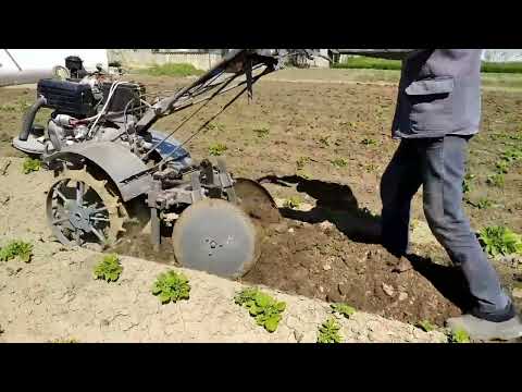 Видео: Обработка картофеля дисковым окучником.