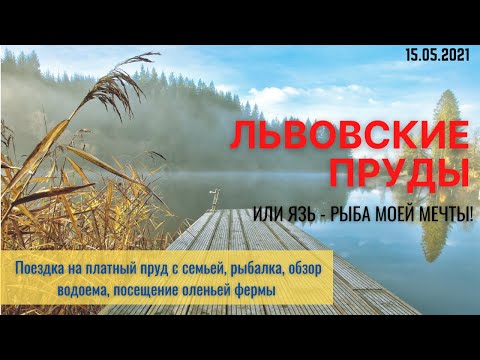 Видео: Львовские пруды. Платная рыбалка в Подмосковье. Отдых и обзор водоема.