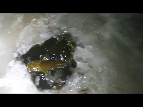 Видео: Открываем зимний сезон рыбалки на Печоре \ Начало есть