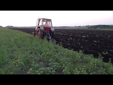 Видео: Оранка в самом розгарі.ЮМЗ в парі з ПЛН .