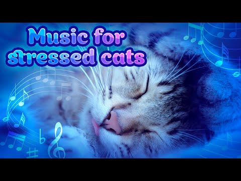Видео: Лечебная музыка для подверженных стрессу кошек 10 часов ♬ Музыка со звуками, которые успокаивают