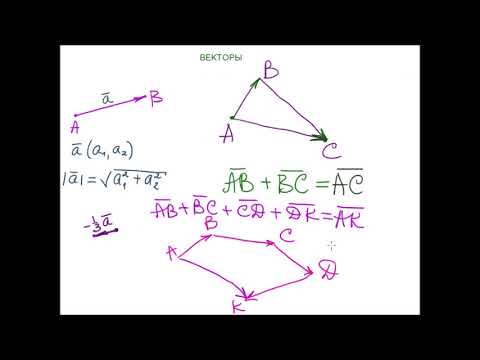 Видео: #векторы Обзор Vectors