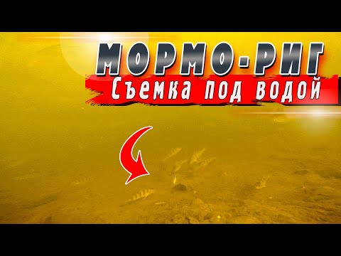 Видео: Мормо Риг  - Все что нужно узнать | Микроджиг, Наноджиг, Мормышинг