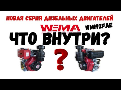 Видео: 😲ЧТО ВНУТРИ WEIMA? Мы его разобрали! 💥NEW💥 #WM192FAE, ДИЗЕЛЬНЫЙ ДВИГАТЕЛЬ EVRO5 НОВОГО ПОКОЛЕНИЯ