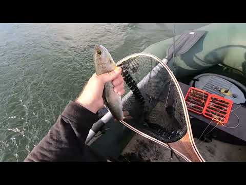 Видео: Хариус нахлыстом на Ангаре Две рыбалки в середине лета часть 2 29.07.22