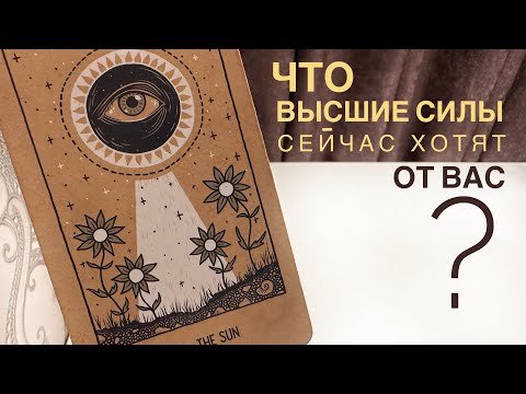 Видео: Что высшие силы сейчас хотят от вас?