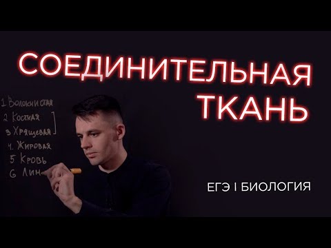 Видео: Соединительная ткань I ЕГЭ Биология | Даниил Дарвин