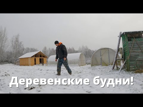 Видео: Жизнь в деревне:  осенний марафон "Надо успеть!" и деревенские будни!