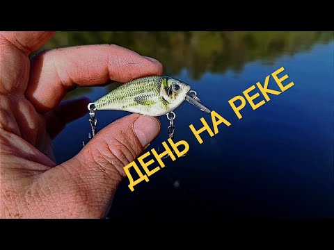 Видео: ОДИН ДЕНЬ НА РЕКЕ