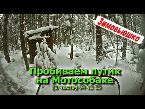 Видео: Пробиваем путик на Мотособаке (1 часть) 04 12 23