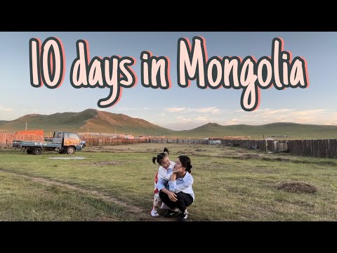 Видео: Солонгос жуулчин Монголд 😛🇲🇳💖