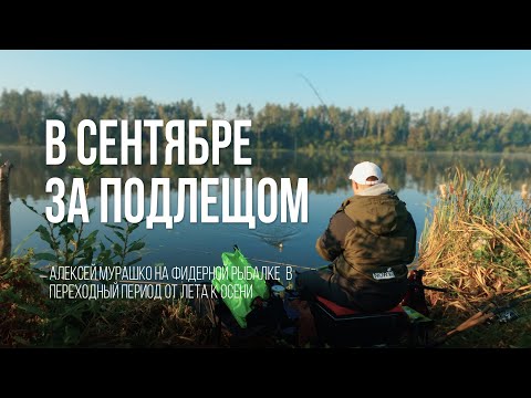 Видео: Ловля подлещика на водохранилище на фидер: Между летом и осенью
