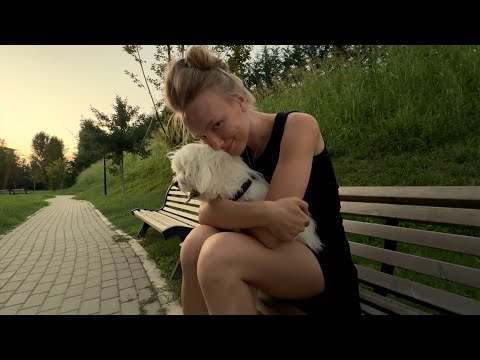 Видео: Итальянцы молодцы - влоги каждый день