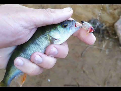 Видео: #165 Мормышинг | Микро колебло | MATAGI TWA-662XUL |