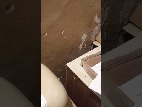 Видео: 23 октября 2025 г.