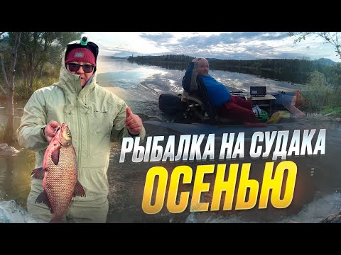 Видео: ОСЕННЯЯ РЫБАЛКА НА СУДАКА. ЖИВУ НА ОЗЕРЕ 4 ДНЯ. Рыбалка на джиг.