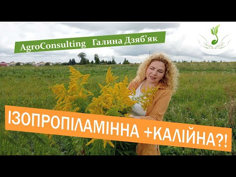 Видео: Чи варто змішувати ізопропіламінну і калійну сіль гліфосатів?