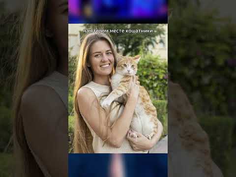 Видео: Кошатники лучше собачников? #shorts #шортс
