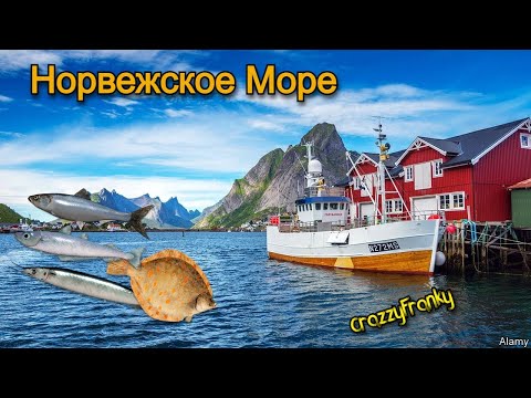 Видео: А теперь погнали на море....РР4/Русская Рыбалка 4