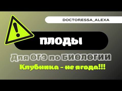 Видео: Плоды | БИОЛОГИЯ ОГЭ 2023