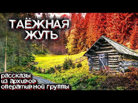 Видео: В Этой Тайге Творятся Необъяснимые Вещи. Рассказ Оперативника | Мистические Страшные Истории на ночь