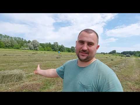 Видео: Заготовка сена гектарами!ОБЩАЯ СУММА! Наёмная техника,наёмные рабочие! Выгодно или нет??