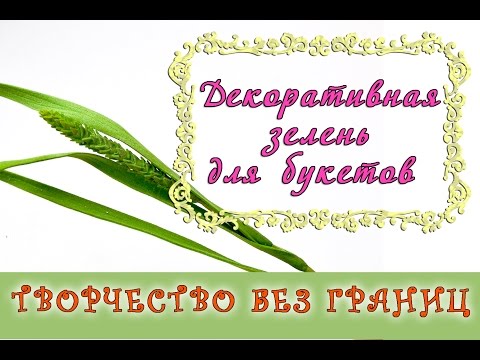 Видео: Декоративная зелень из фоамирана для букетов/ DIY herbs for bouquets