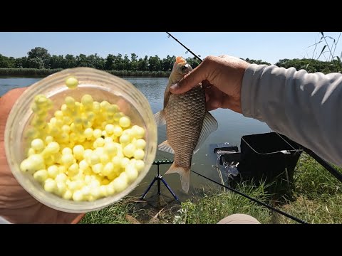 Видео: Как укрупнить карася с помощью пенопласта, поклёвки рыбы в толще воды, оснастка ZIG RIG