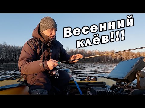 Видео: НАСТОЯЩИЙ КЛЁВ СУДАКА!!! РОЗЫГРЫШ СПИННИНГА!!!