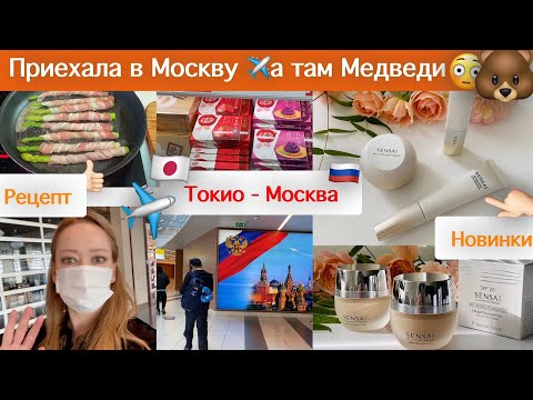 Видео: Vlog* Уезжаю в Москву*  Крем 🥰 Чемодан 💼 Медведь 🐻 Самолет✈️ Рецепт 🍳 Роллы 🍣
