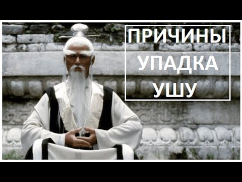 Видео: ВЛАДИМИР АМИДА: "ВОСЕМЬ ПРИЧИН УПАДКА ТРАДИЦИОННОГО УШУ" (рассуждения)