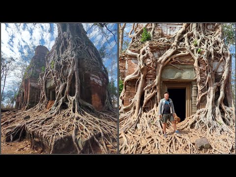 Видео: ДРУГОЙ МИР Кох Кер: деревья владеют руинами Камбоджи многие века