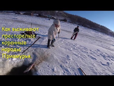 Видео: Аборигены. Рыбный промысел коренных народа Приамурья. Рыбалка сетями на Амуре. Деревенские люди.