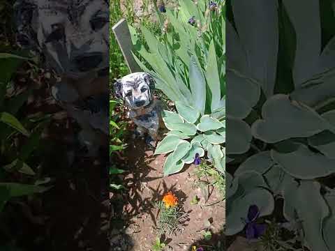 Видео: Турция  - это моя судьба. Жизнь  продолжается....