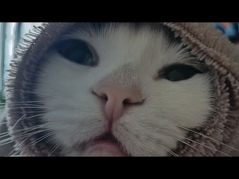 Видео: Все что у меня есть для маникюра. 2 часть