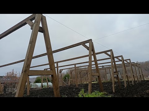 Видео: Шпалеры для Томатов доработали. Где заказать семена