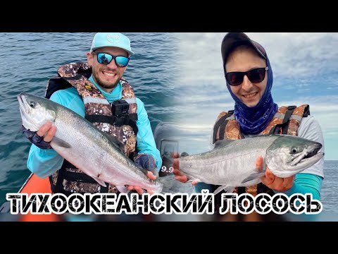 Видео: Морская рыбалка на Сахалине 2025, Кета.