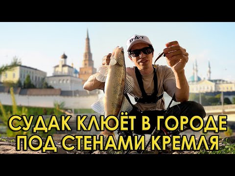 Видео: Ловлю судаков в центре города, но как поднять их на парапет?! Рыбалка на микроджиг.