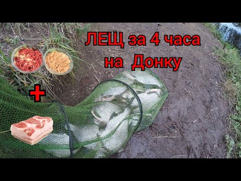 Видео: Ловля ЛЕЩА ОСЕНЬЮ.Прикормка-КАША ,ОПАРЫШ+САЛО на ДОНКУ#рыбалка2022 #прикормкадлярыбалки #фидер