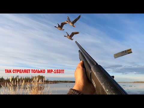 Видео: Ружье МР 153 на колымской охоте. Видео от охотника Сани.