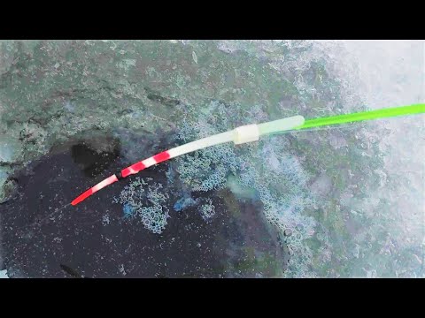 Видео: ТОННЫ КРУПНОГО КАРАСЯ... СЛОЯМИ В ЯМЕ Ч.2 Зимняя рыбалка