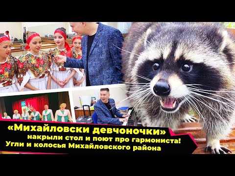 Видео: Енот и народ / Енот в гостях у «Михайловских девчонок» / 16.06.23