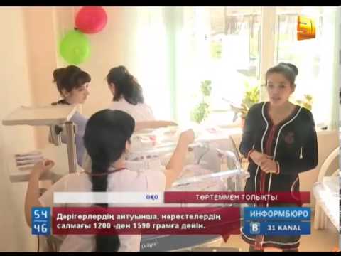 Видео: Оңтүстiк Қазақстан облысында төртем дүниеге келді