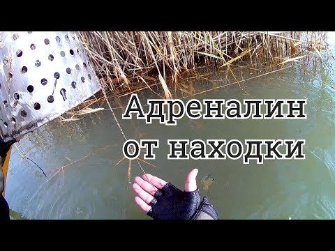 Видео: Лучшая находка это  ЗОЛОТО,коп на пляже под водой удался!