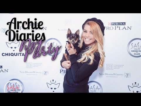 Видео: АРЧИ НА КУЧЕШКО ПАРТИ 🐾🎈🎊