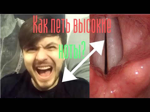Видео: Как петь высокие ноты не напрягаясь? Как научиться петь? Уроки вокала