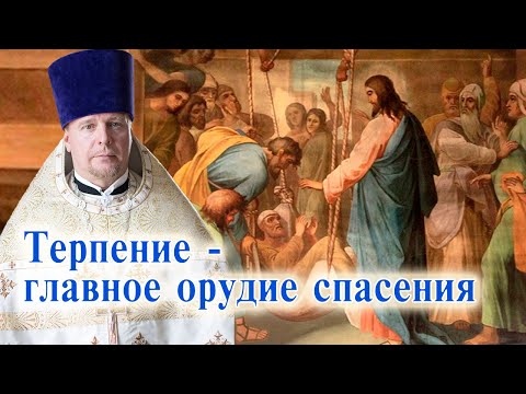 Видео: Терпение - главное орудие спасения. Проповедь священника Димитрия Лушникова